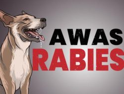 Kasus Rabies di Sumut Masuk 10 Besar Tertinggi di Indonesia