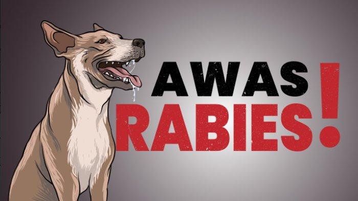 ILUSTRASI Kasus rabies di Sumut
