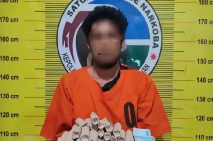 ZHH, pengedar ganja kering yang ditangkap petugas Sat Res Narkoba Polres Padangsidimpuan.