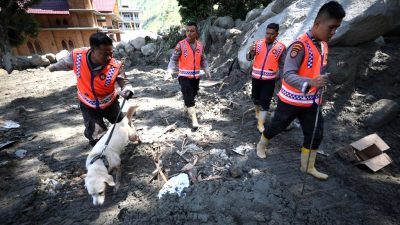 Petugas kepolisian mengerahkan anjing pelacak dalam melakukan pencarian jenazah korban banjir bandang di Kabupaten Humbang hasundutan.(BNPB)