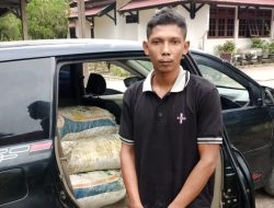 Ninja Sawit Beraksi Naik Mobil Pribadi, Aksinya Gagal Dipergoki Satpam