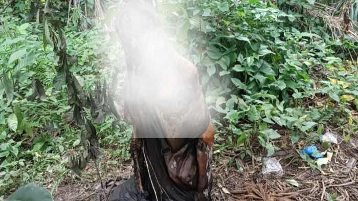 Mayat yang diduga Kasmin alias Kentung, pensiunan BUMN ditemukan tewas dengan leher terikat di perkebunan sawit milik warga di Huta III, Nagori Perdagangan II, Kecamatan Bandar, Kabupaten Simalungun, Jumat (5/1/2024). Korban diduga bunuh diri.