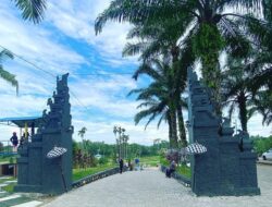 Jelajah Pesona Wisata Jona Garden Binjai, Surga Tersembunyi di Langkat, Sumatera Utara