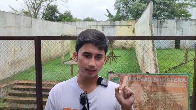 Alshad Ahmad, sepupu Raffi Ahmad berkunjung ke Medan Zoo untuk memberikan vitamin harimau, Minggu (11/2/2024). Alshad mengatakan, bahwa kandang harimau di Medan Zoo memang sempat terlihat kumuh.