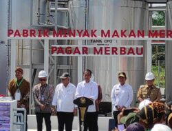 Jokowi Pastikan Minyak Goreng Merah Bisa Bersaing di Pasar