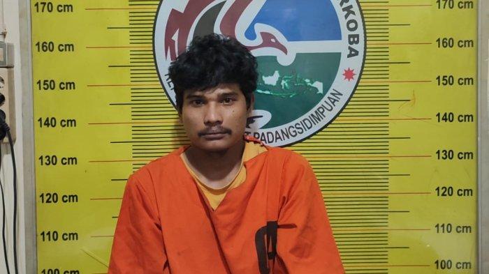 MZA, pengedar sabu yang ditangkap petugas Polres Padangsidimpuan di kebun karet, Kamis (29/2/2024).