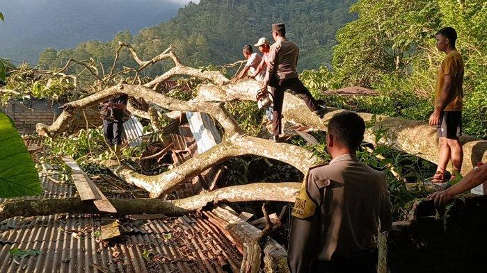 Empat unit rumah milik warga rusak akibat tertimpa pohon tua di Desa Jangga Toruan, Kecamatan Lumban Julu, Kabupaten Toba, Provinsi Sumatera Utara.