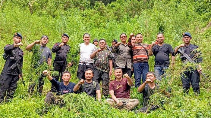 Badan Riset dan Inovasi Nasional (BRIN) ikut ambil bagian dalam penemuan ladang ganja seluas lima hektare di Pegunungan Tor Sihite, Desa Rao Rao Lombang, Kecamatan Timbangan, Kabupaten Mandailing Natal.