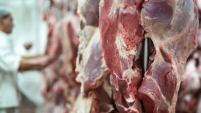 Hukum Menjual Daging Kurban dan Kulitnya