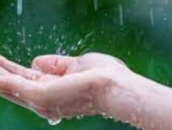 Manfaat Air Hujan Bagi Kesehatan, Ini Yang Perlu Diperhatikan……
