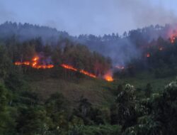 Angin dan Bukit yang Curam Hambat Proses Pemadaman Api di Hutan Samosir