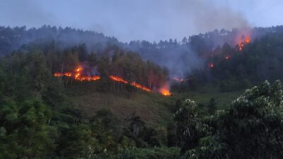 Kebakaran hutan dan lahan yang terjadi pada Minggu (14/7/2024) petang kemarin di Dolok Sijonoha, Desa Turpuk Limbong, Kecamatan Harian, Kabupaten Samosir masih berlangsung