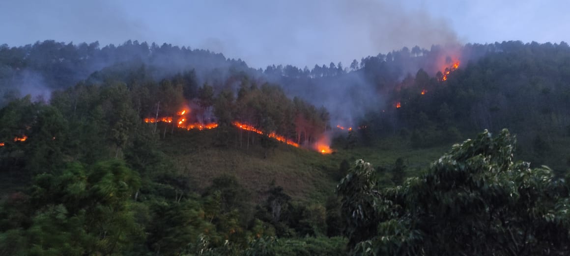 Kebakaran hutan dan lahan yang terjadi pada Minggu (14/7/2024) petang kemarin di Dolok Sijonoha, Desa Turpuk Limbong, Kecamatan Harian, Kabupaten Samosir masih berlangsung