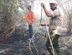 10 Hektare Lahan di Desa Alang Bonbon Terbakar Selama 3 Hari, Api Belum Padam