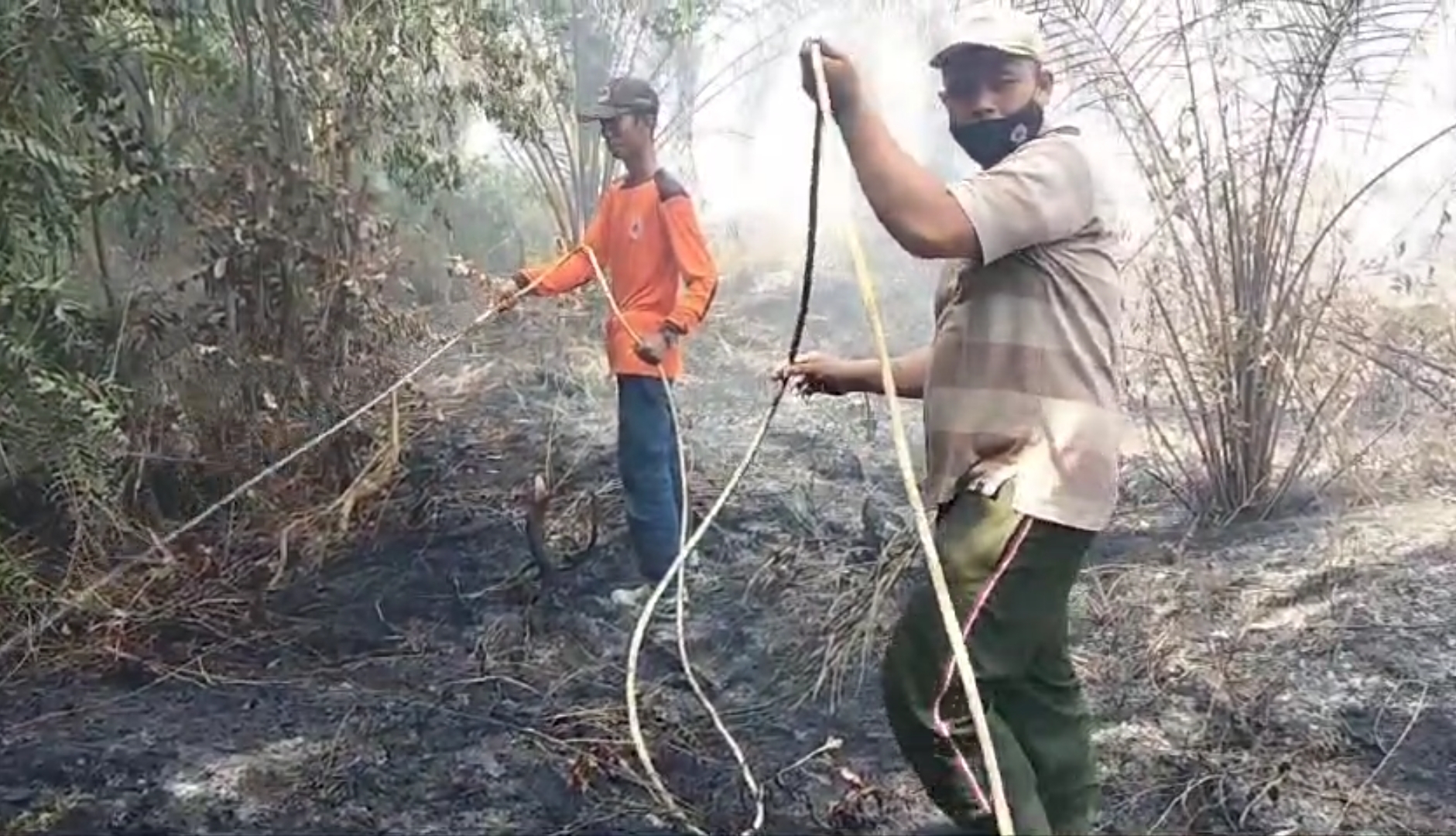 Kebakaran lahan di Desa Alang Bonbon, Kecamatan Aek Kuasan, Kabupaten Asahan, Sumatera Utara sudah berlangsung selama tiga hari. Petugas berjibaku tengah memadamkan api.