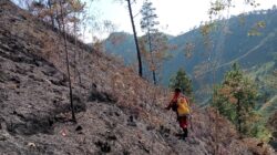 5 Hektare Lahan di Bukit Horbingan Diduga Sengaja Dibakar