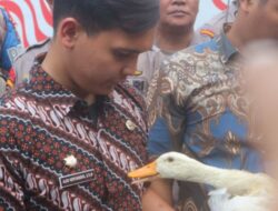 Diangggap Gagal Pimpin Kota Medan, Mahasiswa Hadiahi Bobby 2 Ekor Bebek Saat Demo