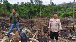 Kawasan hutan lindung di Desa Tanjung Botung Pinarik, Kecamatan Batang Lubu Sutam, Kabupaten Padang Lawas, Sumatera utara terbakar.