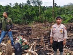 1,5 Hektare Kawasan Hutan Lindung di Padang Lawas Terbakar