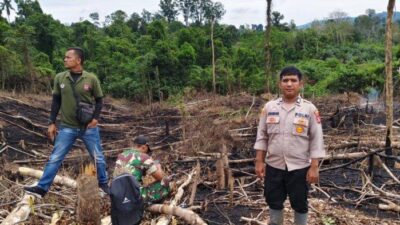 Kawasan hutan lindung di Desa Tanjung Botung Pinarik, Kecamatan Batang Lubu Sutam, Kabupaten Padang Lawas, Sumatera utara terbakar.