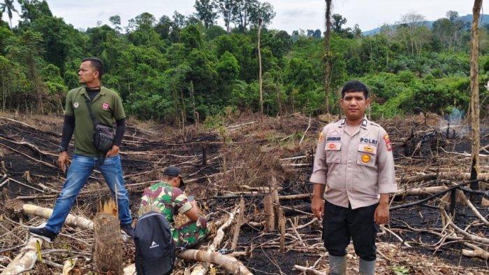 Kawasan hutan lindung di Desa Tanjung Botung Pinarik, Kecamatan Batang Lubu Sutam, Kabupaten Padang Lawas, Sumatera utara terbakar.