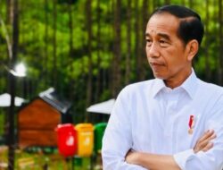 Jokowi Sebut Mobil BBM Dilarang Beroperasi di IKN