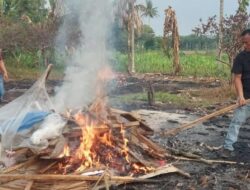 Lagi, Polsek Sunggal Gerebek Kampung Narkoba, Barang Bukti Dibakar