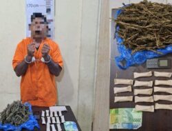 Pengedar Ganja di Pangkalan Susu tak Berkutik saat Ditangkap Polisi