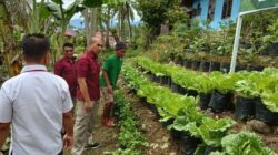 Lapas III Kota Nopan Bagikan Hasil Panen Sawi ke Warga Sekitar