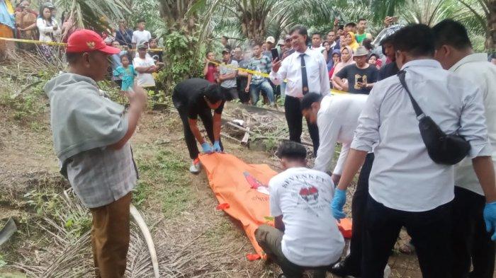 Petugas Polsek Bangun saat mengevakuasi jenazah Manahan Sihombing di areal perkebunan sawit.