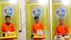 3 Pengedar Ganja di Tapanuli Selatan Diringkus Berurutan