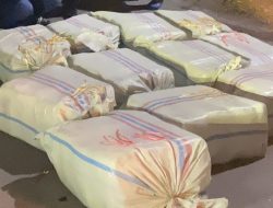 Wow ! 272 Kg Ganja Asal Aceh Gagal Masuk Medan