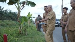 Bupati Asahan meninjau lokasi rencana pembangunan apas.(ist)