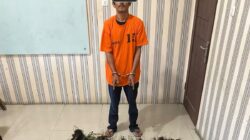 HG, petani di Kabupaten Karo yang nekat menanam ganja saat diamankan Polres Karo.