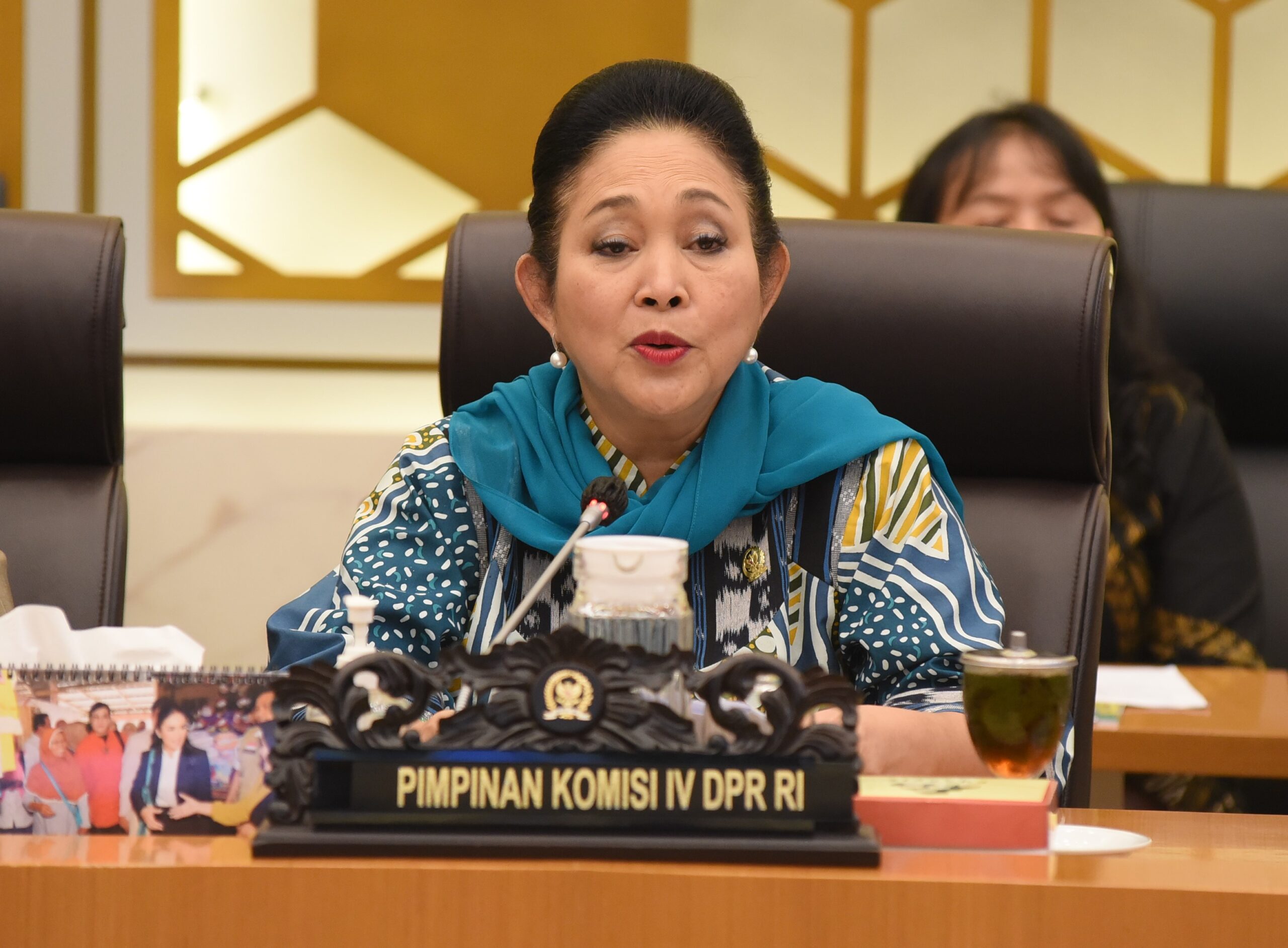 Ketua Komisi IV DPR RI, Siti Hediati Hariyadi atau Titiek Soeharto