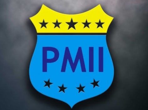 PMII.(ist)