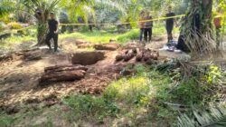 Temuan 20 Bom Mortir Jenis Aircraft Dimusnahkan, Ledakannya Bikin Heboh Warga Dua Kecamatan