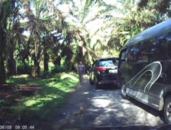 Pungli Marak di Wisata Tangkahan, Bupati Langkat Minta Polisi Tangkap Pelakunya