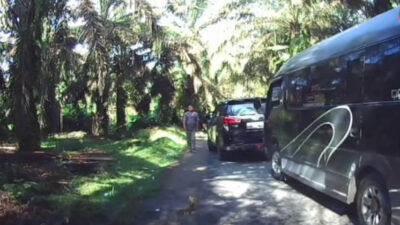 Aksi pungli kian marak di kawasan objek wisata Tangkahan, Kecamatan Batang Serangan, Kabupaten Langkat. Keberadaan pelaku pungli ini meresahkan wisatawan.