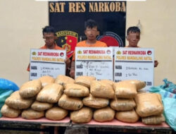 Sial, Barang Belum Ditangan, 3 Kurir Ganja Asal Sumbar Keburu Diciduk
