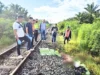 Pria Tanpa Identitas Ditemukan Tewas di Bantaran Rel Batubara