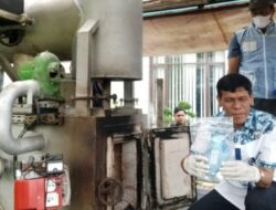 BNN Sumut Ungkap Peredaran 1,7 Kg Sabu dan 216 Kg Ganja : Ladang Ganja Dimusnahkan