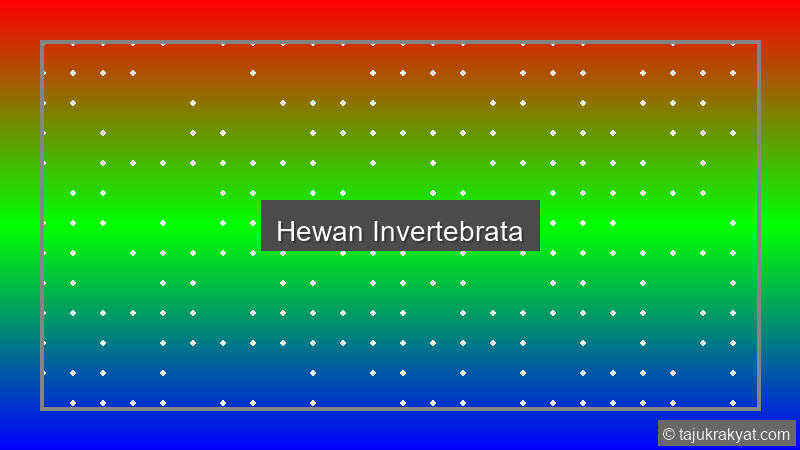 Hewan Invertebrata