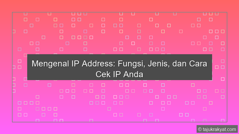 Ip Address