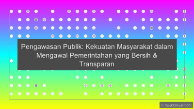 Pengawasan Publik