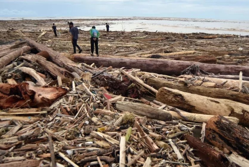 Kayu tersapu banjir dan longsor.(ist)