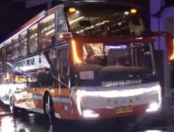 Viral ! Marco Sony, Sopir Bus PO Rosalia Indah ugal-ugalan Dipecat