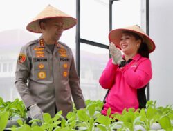 Polrestabes Medan Panen Perdana Melon : Wujud Nyata Peran Bhayangkari